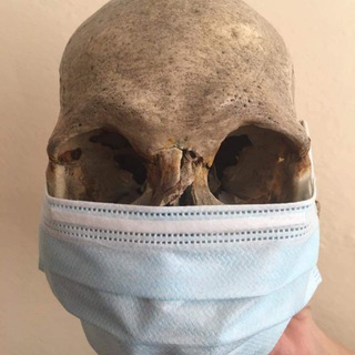 Прозекторская