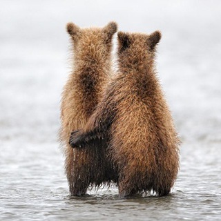 Пётр Шпиленок