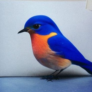 Купить квартиру в Черногории