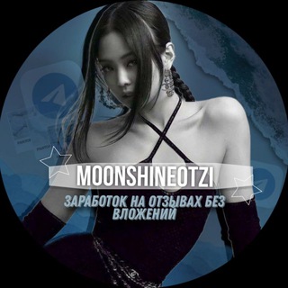 MOONSHINE Заработок на отзывах