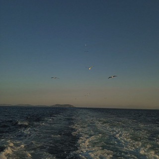 море моих мыслей