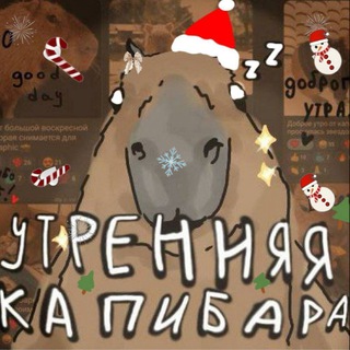 Утренняя капибара