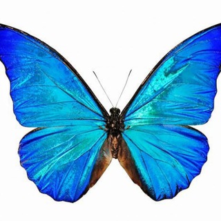 Мастерская Метафор