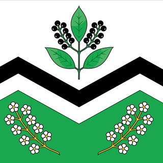 Администрация р.п. Мошково