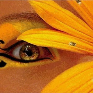 Юмор (мемы, анекдоты, комиксы)😂🤣🤪