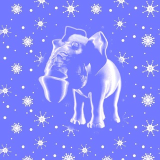 бишкек новости