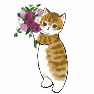 милый домик