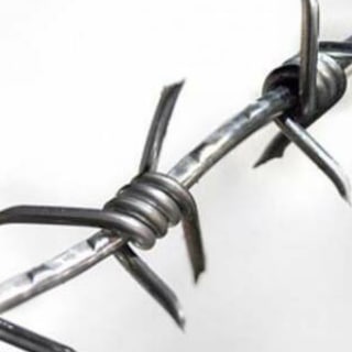 🇺🇦☮️🇷🇺 MR. FREEMAN ☿