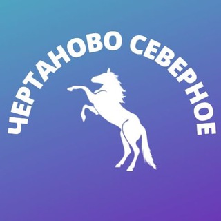 Чертаново Северное