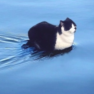 Расслабься чувачок