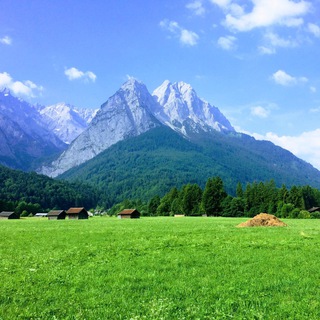 Ненастоящий баварец