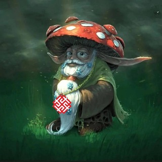 Мухоморы в ДНР и ЛНР 🍄🍄🍄