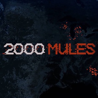 2000MULES ✪