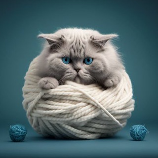 Мурлыкации | Кошки и не только