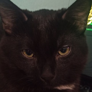 Канал Гектора