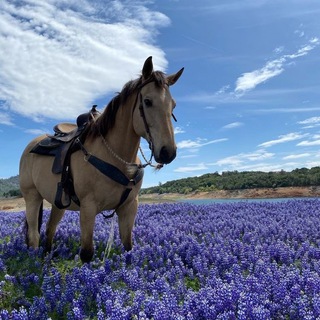 𝙼𝚞𝚜𝚒𝚡 💫