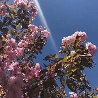 𝙼𝚞𝚜𝚒𝚌🗽