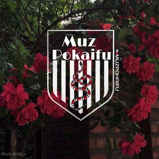 Музыка по кайфу 🕊