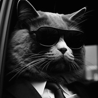 亗τορ_rεmιχ ~ (2024) ㅇㄹ