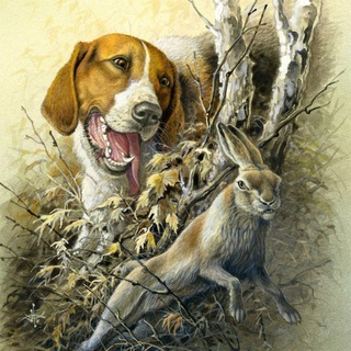 Охота * Рыбалка * Мужская Сталь