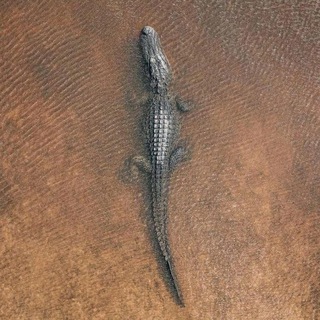 0️⃣0️⃣1️⃣