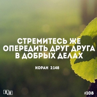 Психология