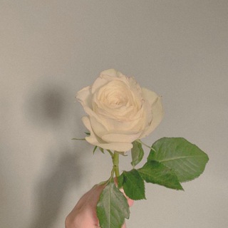 окраина моей души