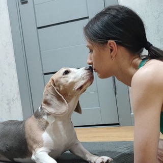 Сам себе кинолог