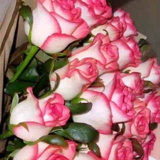 𝓜𝔂_𝓶𝓸𝓸𝓭𝓵𝓲𝓷𝓮🌛