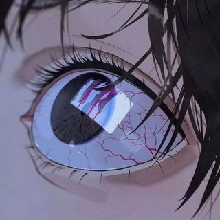 🕊 Мои сохранки