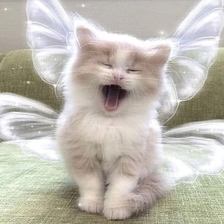 《♡~My Korean~♡》