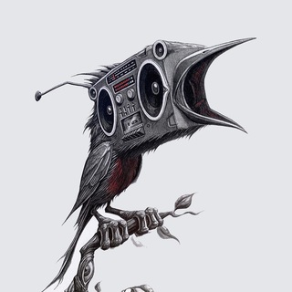 Есть чё послушать?