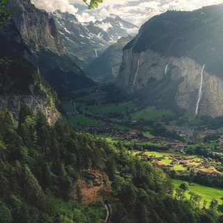 My Sugar News🌱🌿🪴