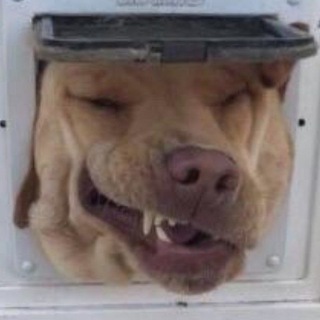 Санкционочка