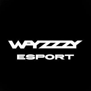 Wayzyyy ESport