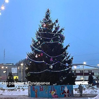 На районе – Думиничи