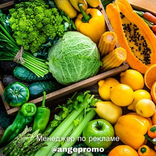 Для Начинающих • Похудение