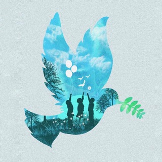 По Первому не покажут