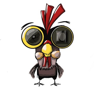 НАКОКОЙ объектив снято?