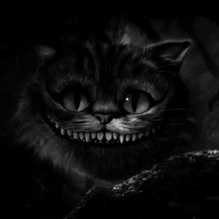 Chatterboxes from Nastyushka🤗