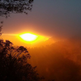 🦋Ци-Клуб Натальи Куниной. Прикладные фишки цигун, бацзы, цимэнь и феншуй.🦋