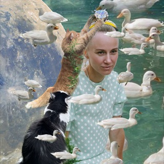 Журнал брови и жизнь