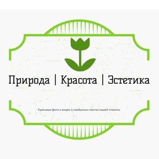 Природа | Красота | Эстетика 🌿🕊