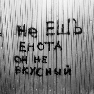 Надписи на заборах