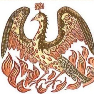 Любочестие - Z- не психология