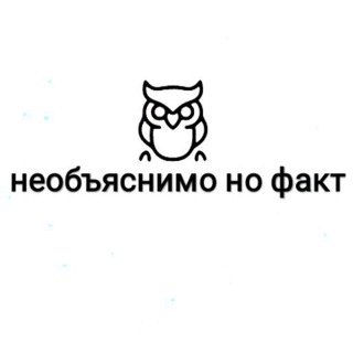 Необъяснимо, но факт