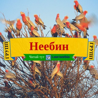 Неебин