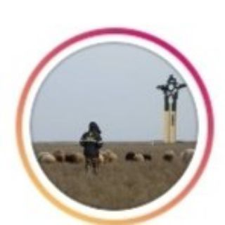 Нефтекумск онлайн