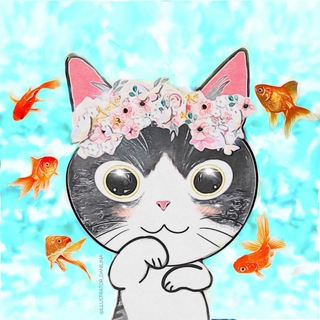 Hayao Nekozaki | はやお ねこざき