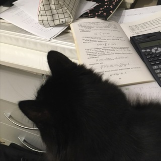 физика и котики 🐈📚